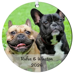 Picture-Perfect Photo Round Ornament