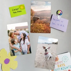 Picture-Perfect Photo Set of 3 Magnets