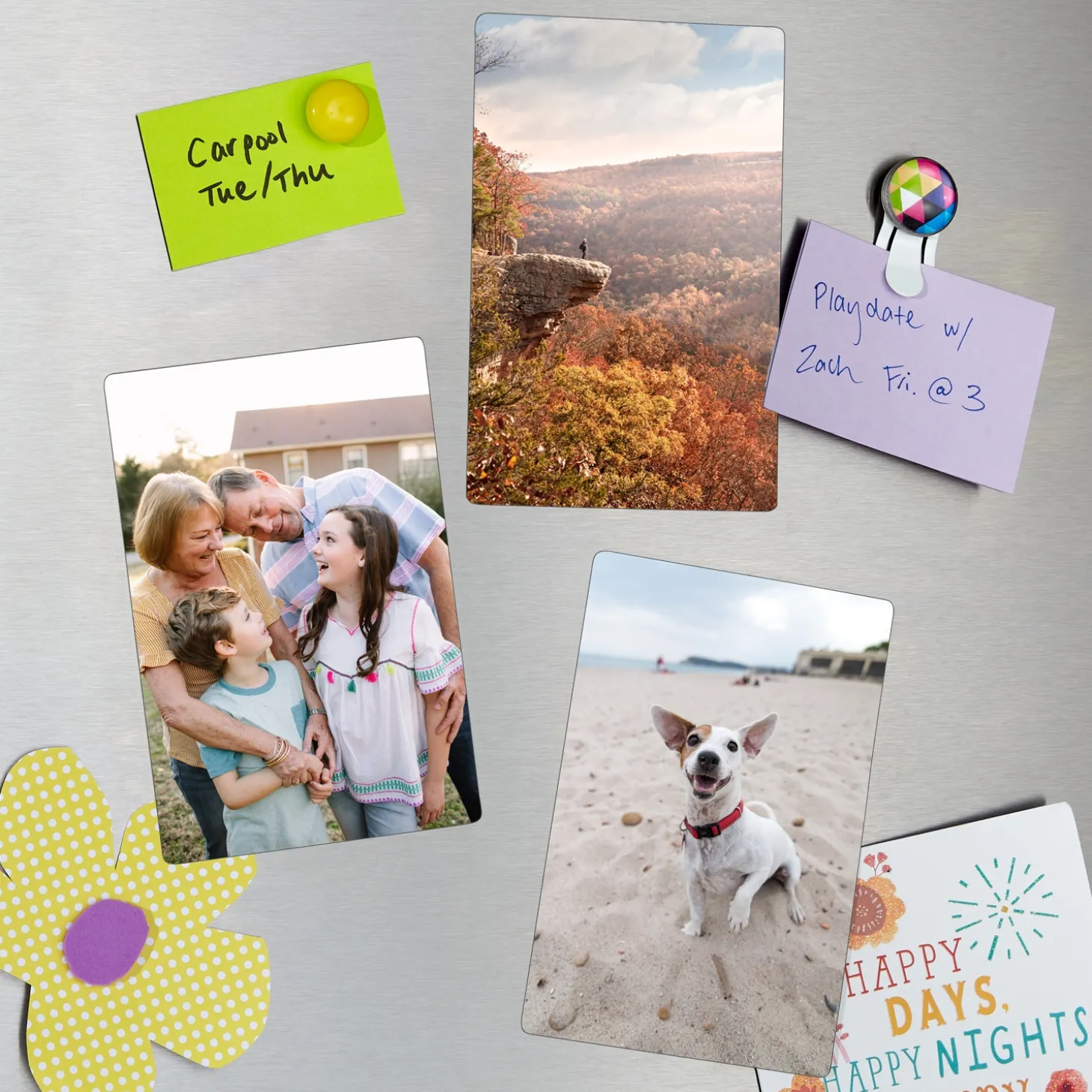 Picture-Perfect Photo Set of 3 Magnets