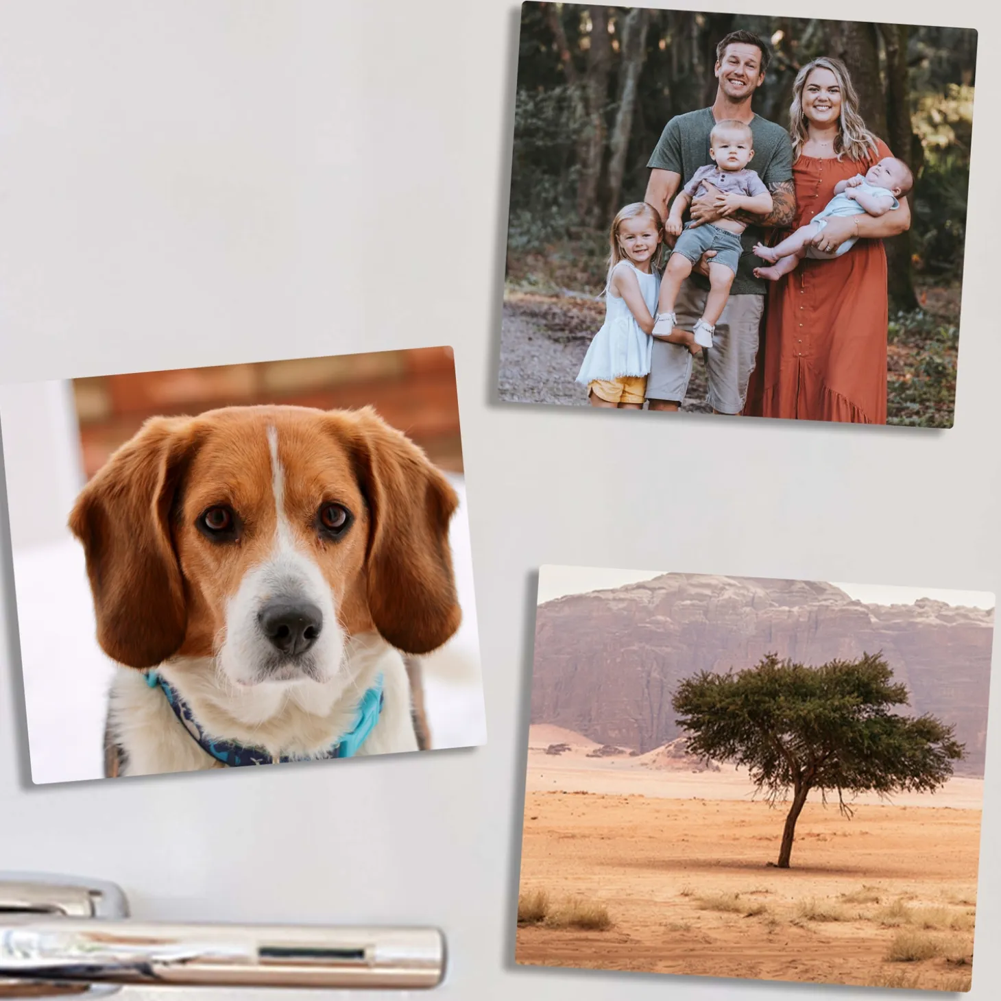 Picture-Perfect Photo Set of 3 Magnets