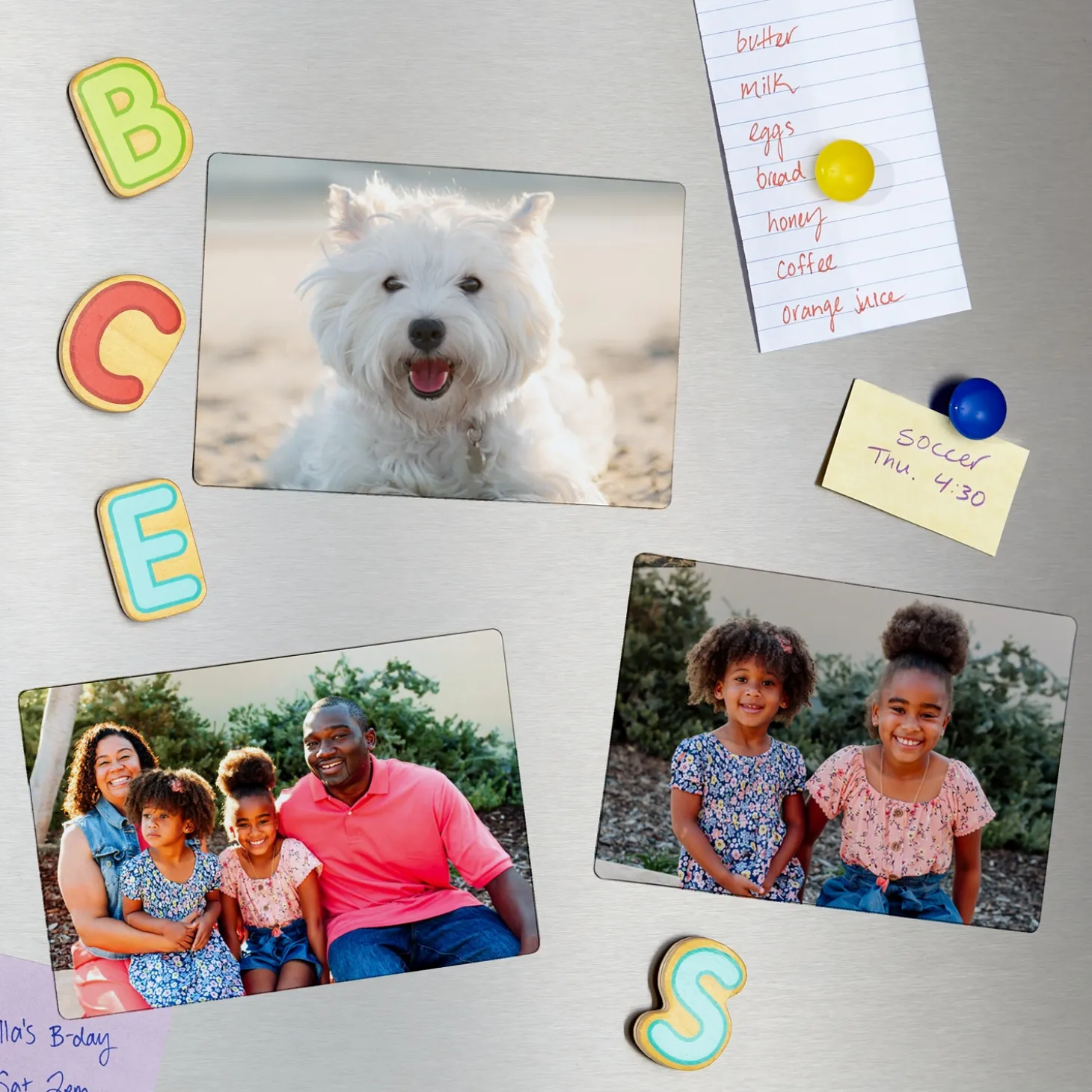 Picture-Perfect Photo Set of 3 Magnets