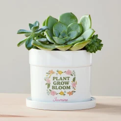 Plant Grow Bloom Planter with Tray