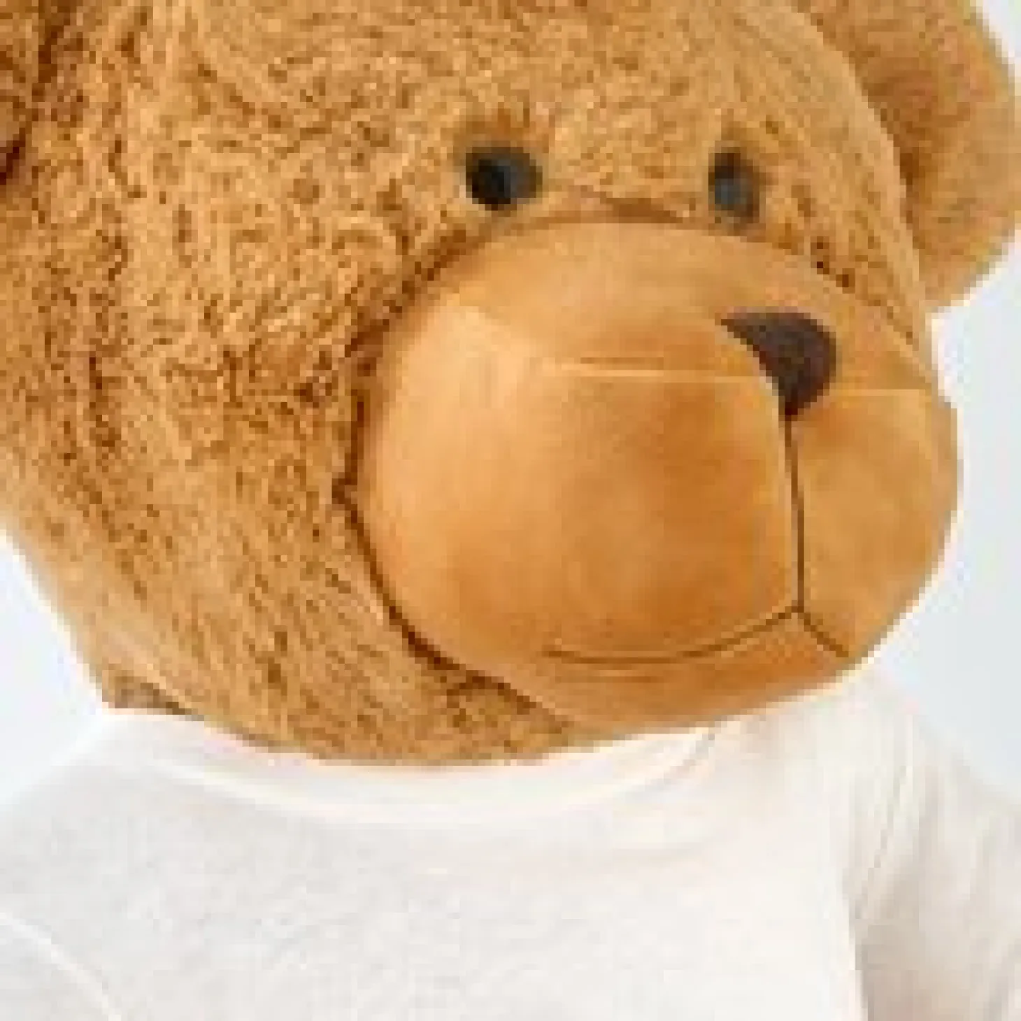 Plush Teddy Bear Gram Mom and Dad Photo with Message T-shirt