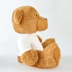 Plush Teddy Bear Gram Mom and Dad Photo with Message T-shirt