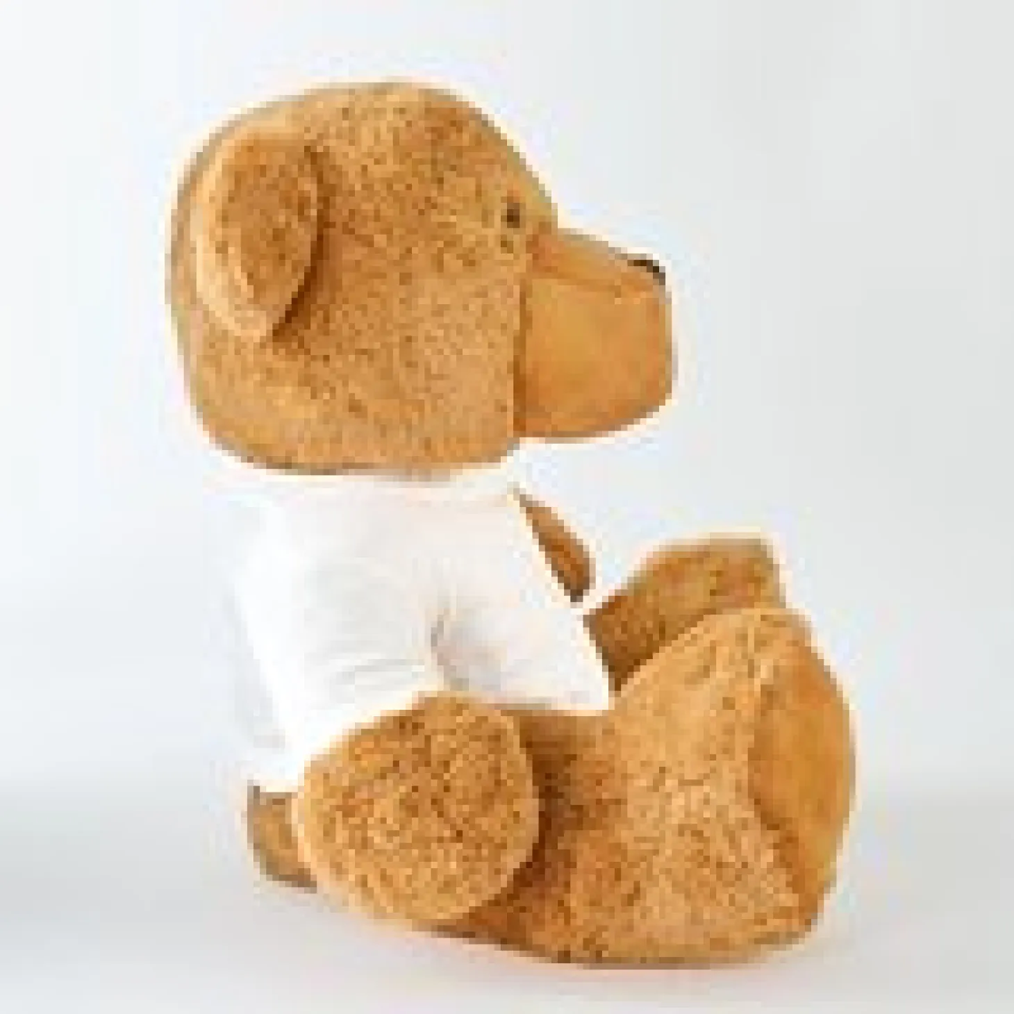 Plush Teddy Bear Gram Mom and Dad Photo with Message T-shirt