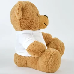 Plush Teddy Bear Gram Siblings T-Shirt