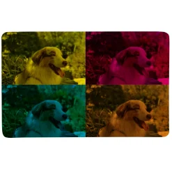 Pop Art Photo Doormat