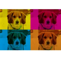 Pop Art Photo Doormat