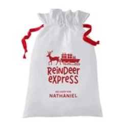 Reindeer Express Oversized Gift Bag