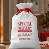 Rudolph® Special Delivery Oversized Gift Bag