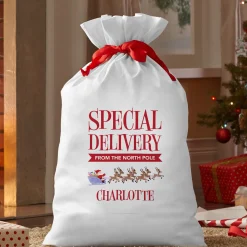 Rudolph® Special Delivery Oversized Gift Bag