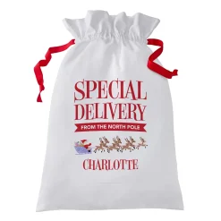 Rudolph® Special Delivery Oversized Gift Bag
