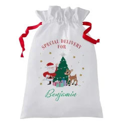 Rudolph® Special Delivery Oversized Gift Bag
