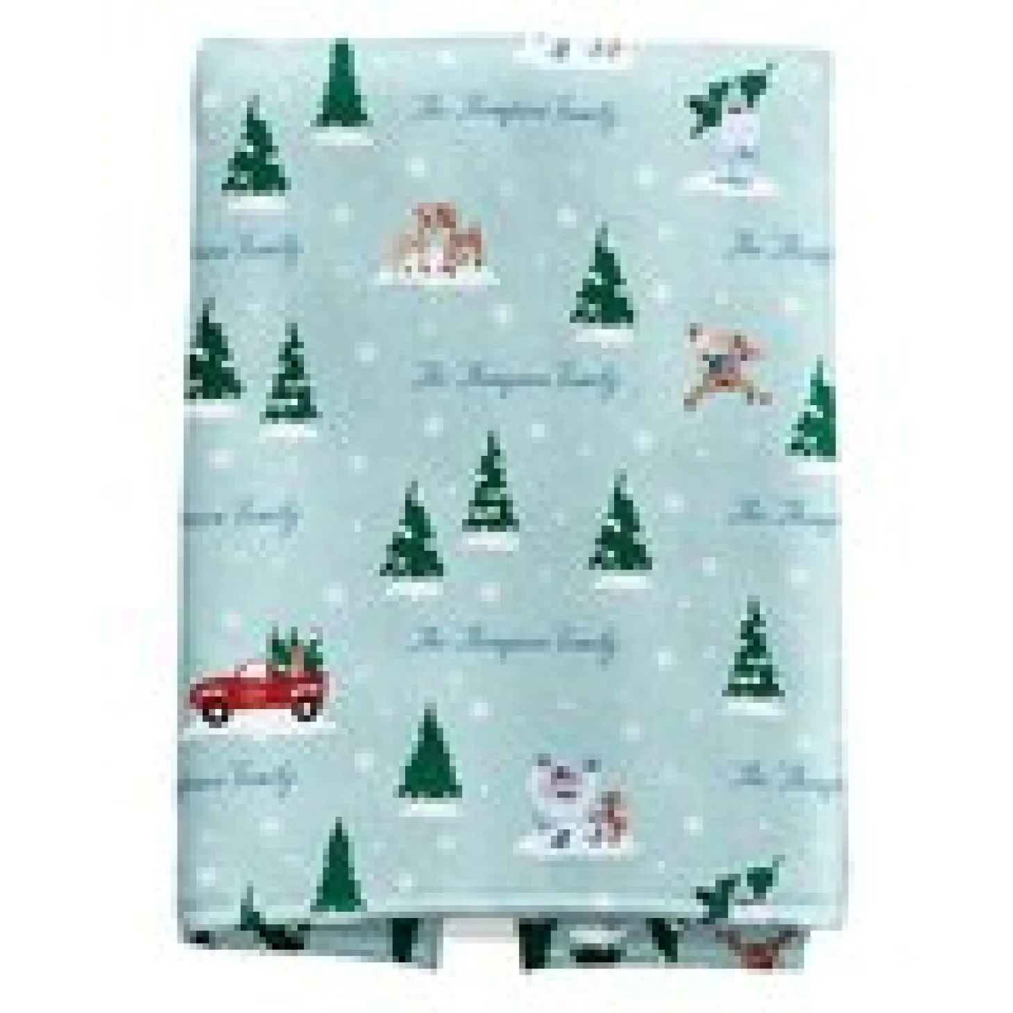 Rudolph® Wintertime Kitchen Towel