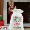Santa's Special Delivery Oversized Gift Bag
