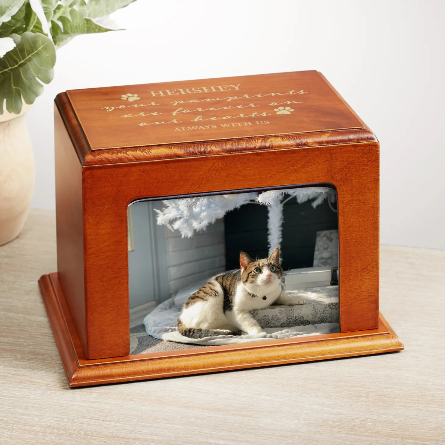 Scripted Paw Prints Wood Frame Pet Urn