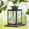 Serenity in Rest Bird Feeder