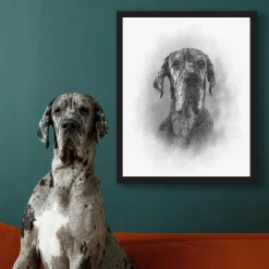 Sketch Pet Portrait
