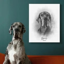 Sketch Pet Portrait