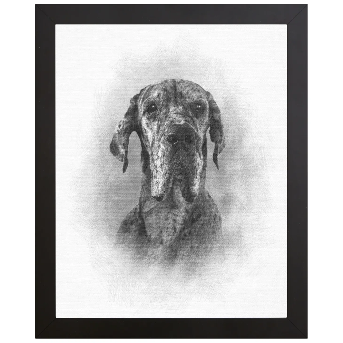Sketch Pet Portrait
