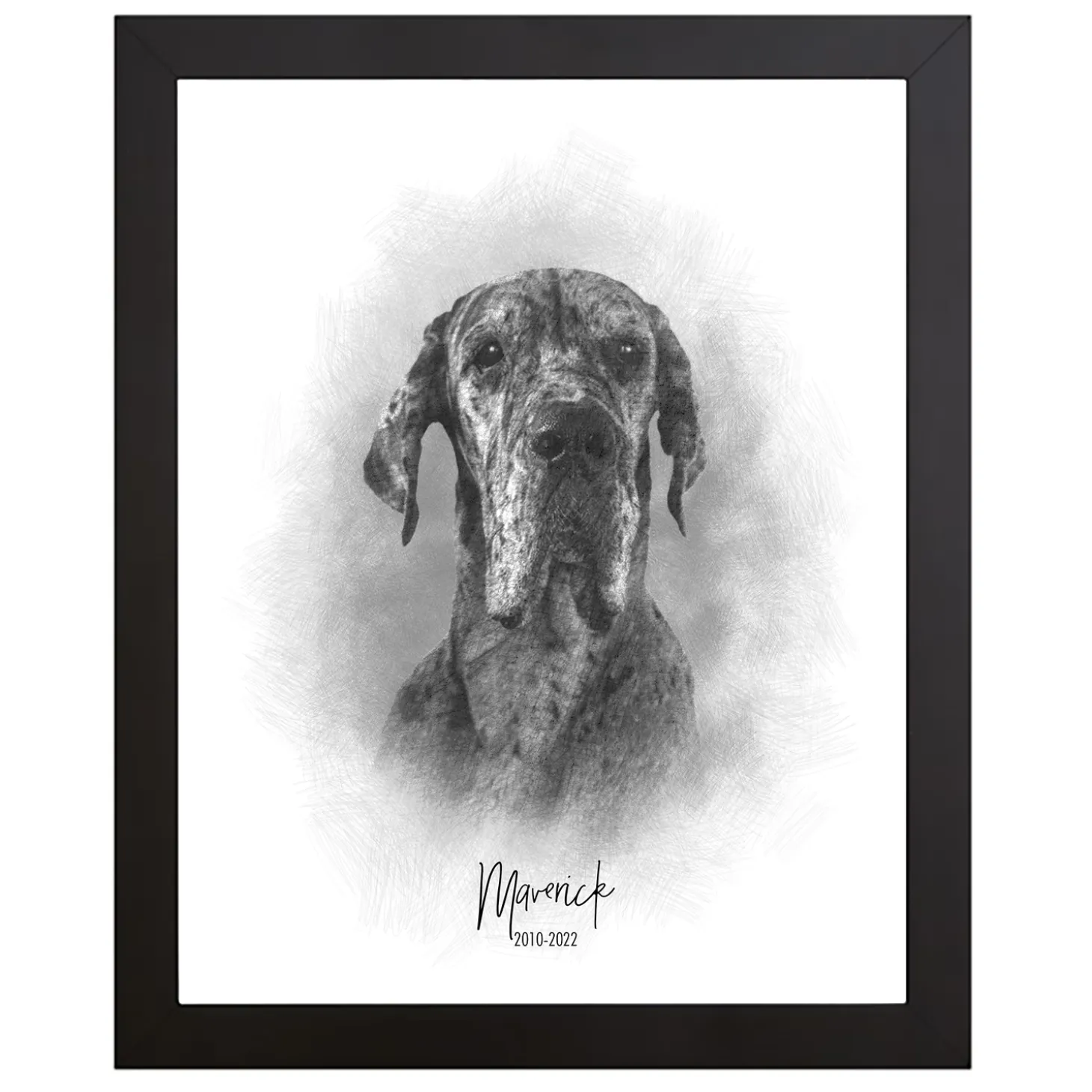 Sketch Pet Portrait