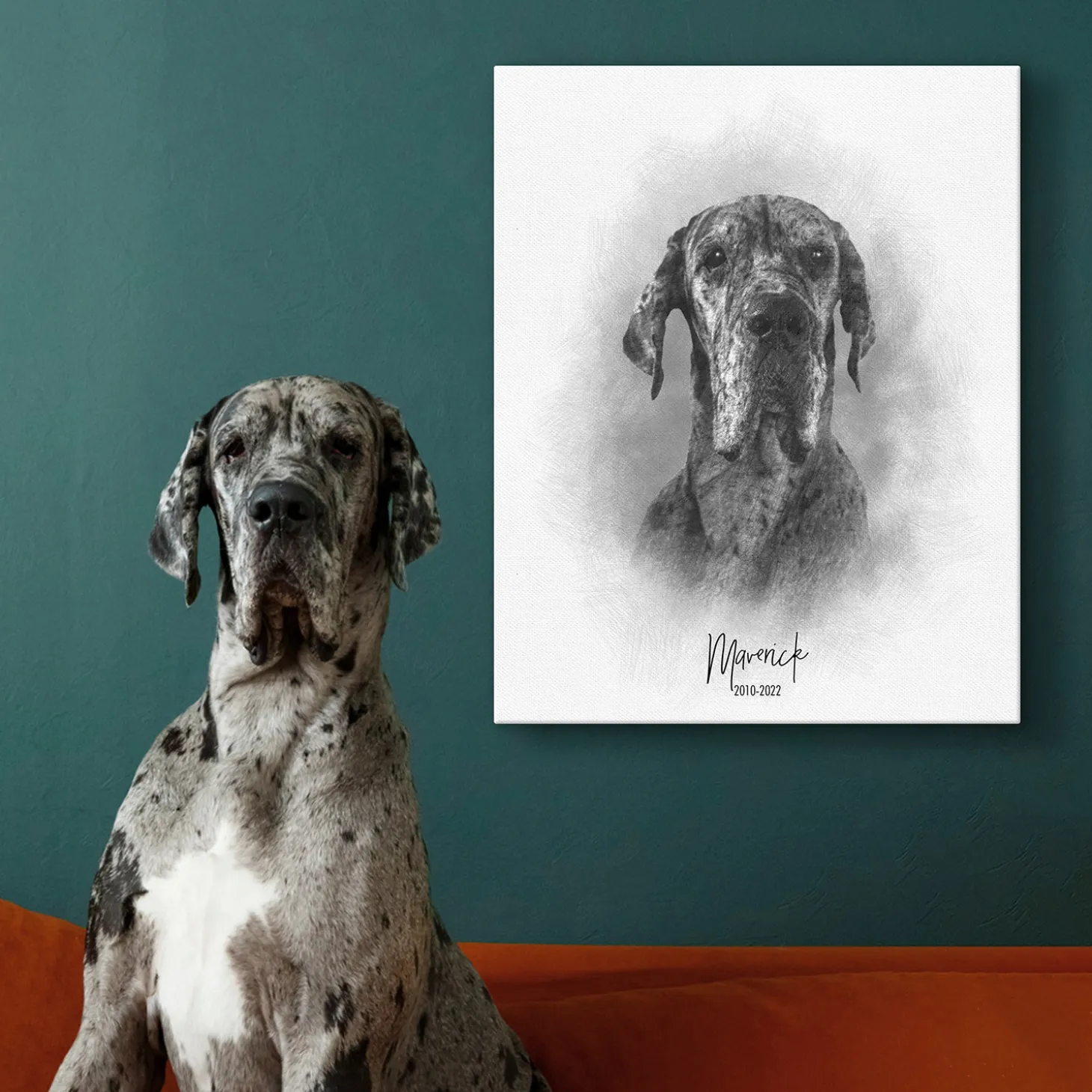 Sketch Pet Portrait