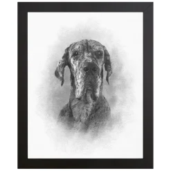 Sketch Pet Portrait