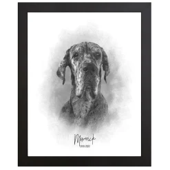 Sketch Pet Portrait