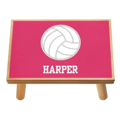 Sports Champ Step Stool
