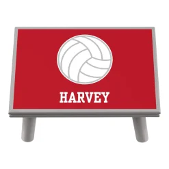 Sports Champ Step Stool