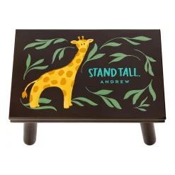 Stand Tall Step Stool