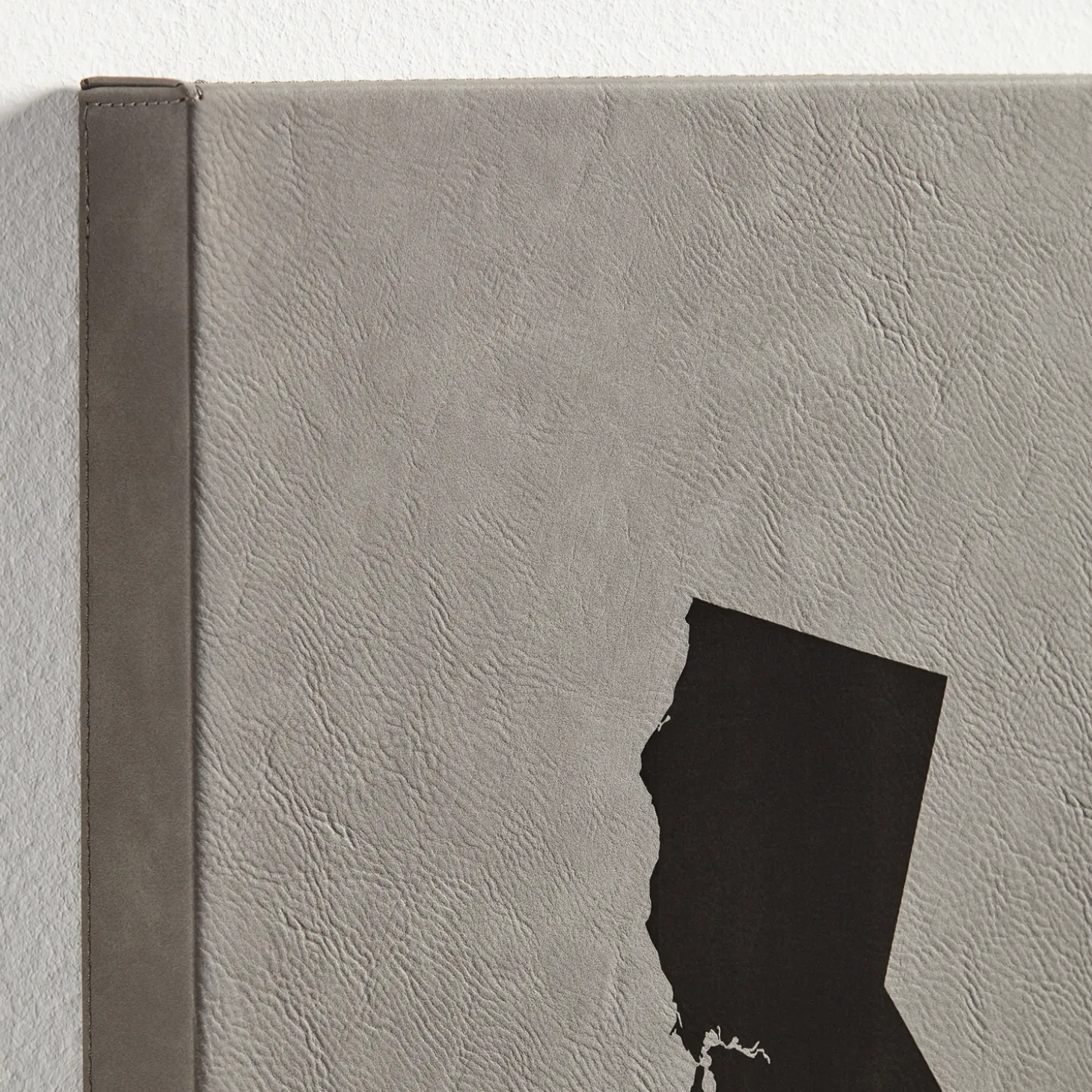 States Design Leather Wall Art