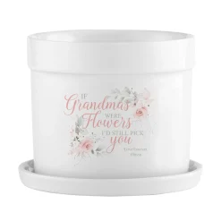 Still Pick You Planter with Tray