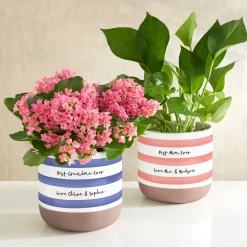 Striped Message Planter