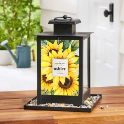 Sunflower Haven Bird Feeder