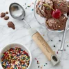 Sweet Treats Ice Cream Scoop