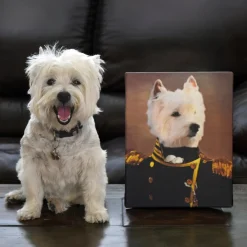 The Admiral Pet Photo Portrait