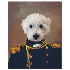 The Admiral Pet Photo Portrait