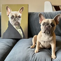 The Ambassador Pet Photo Portrait