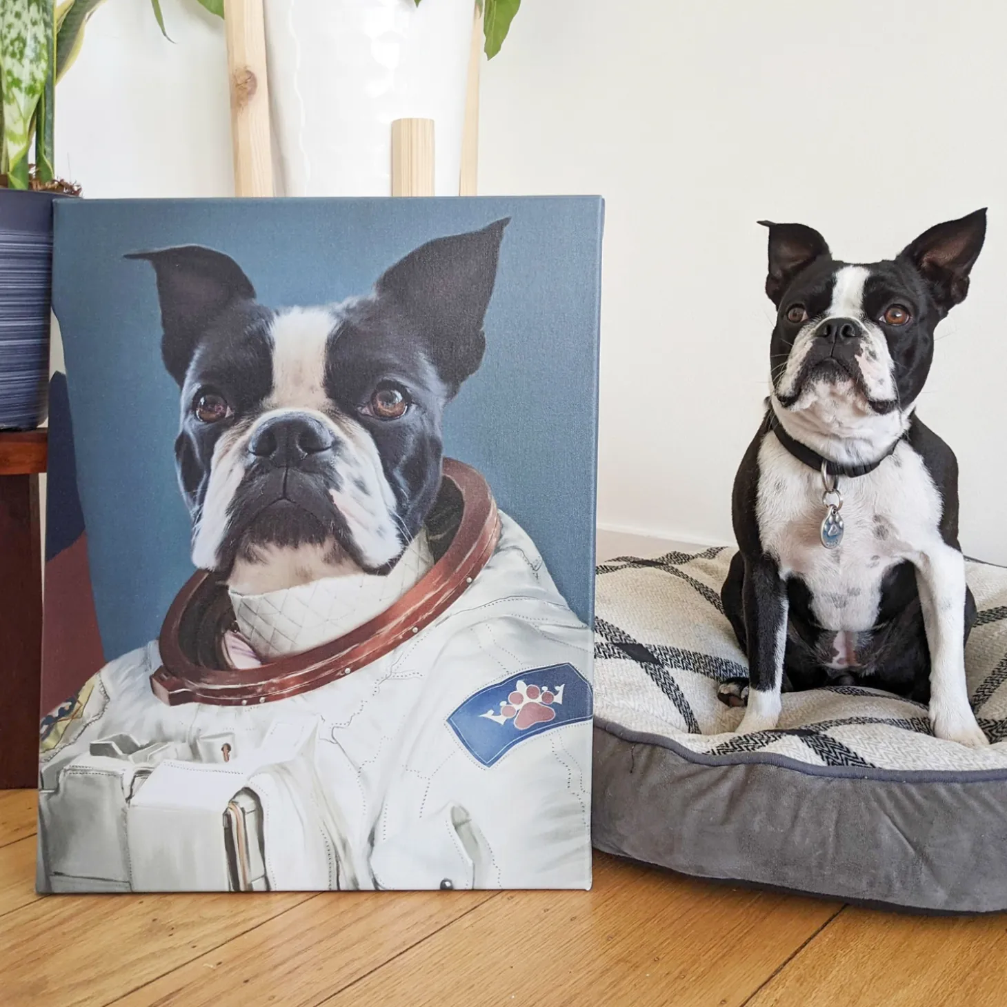 The Astronaut Pet Photo Portrait