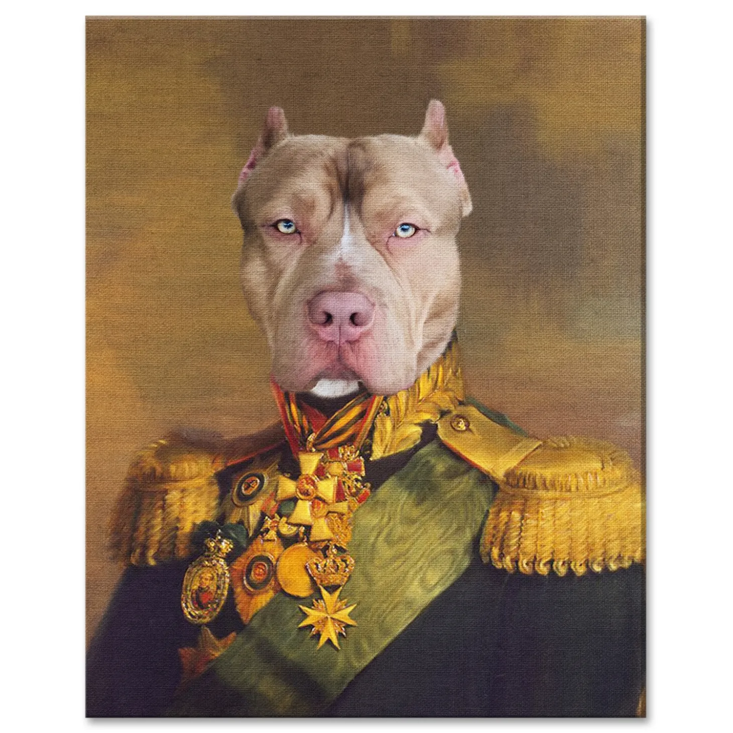 The Colonel Pet Photo Portrait