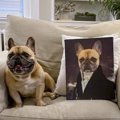 The Count Pet Photo Portrait