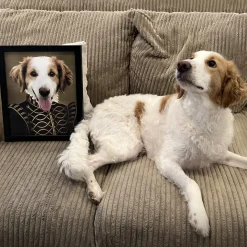 The Noble Pet Photo Portrait