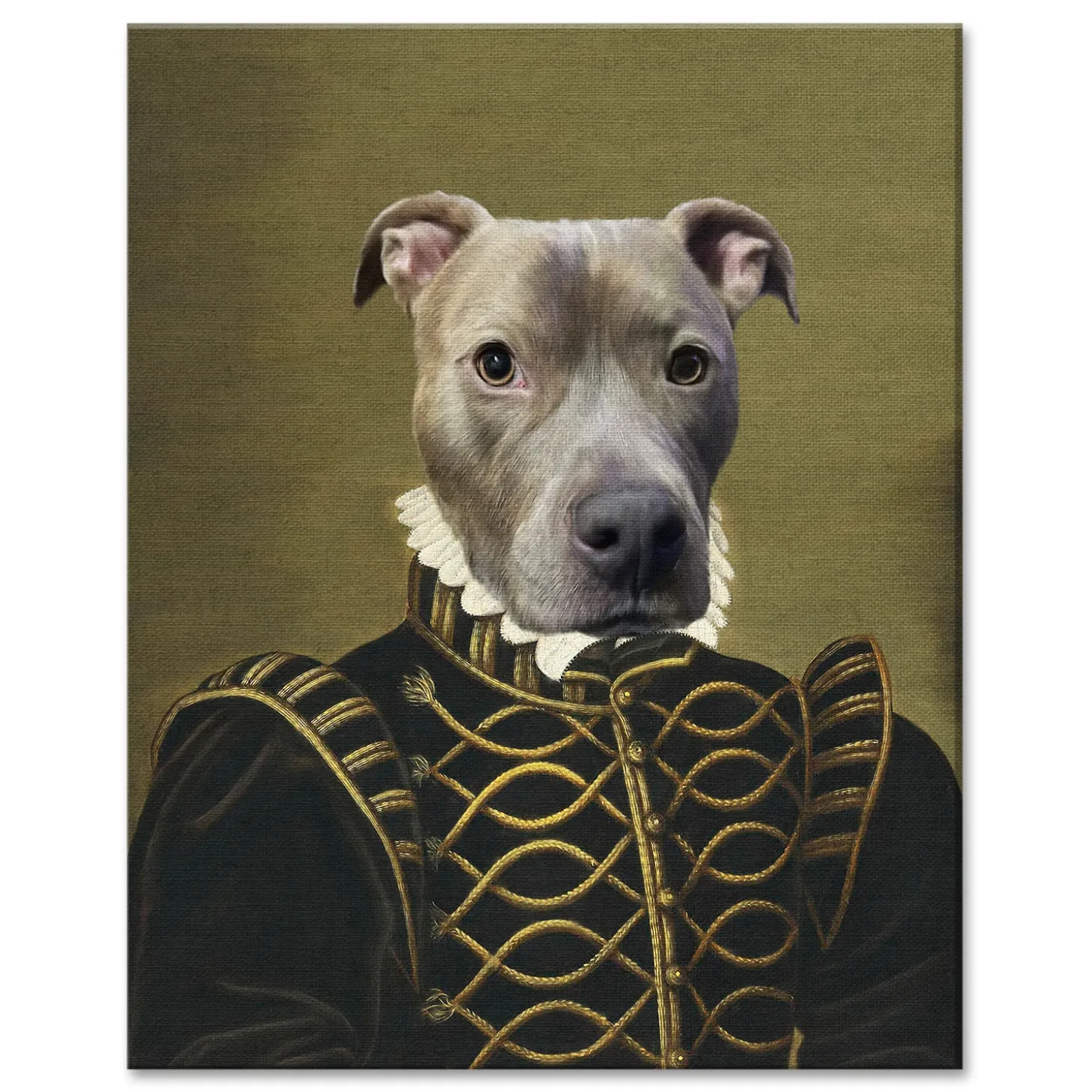 The Noble Pet Photo Portrait