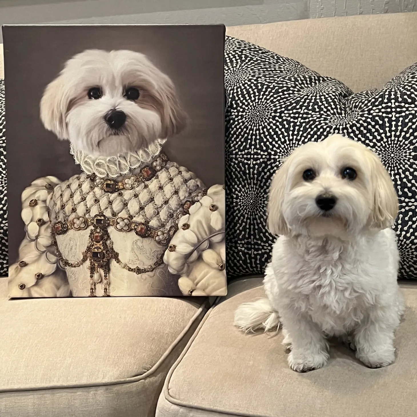 The Princess Pet Photo Portrait