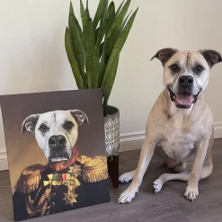 The Veteran Pet Photo Portrait