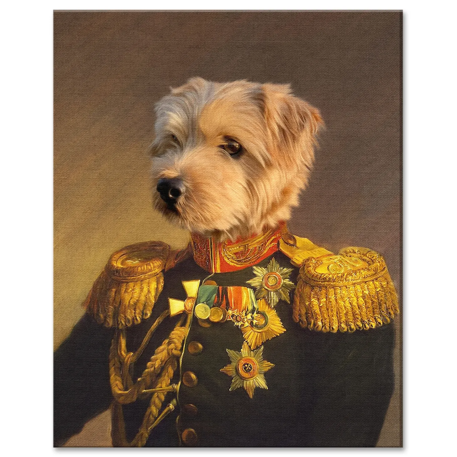 The Veteran Pet Photo Portrait