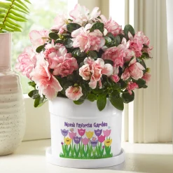Tulip Garden Planter with Tray