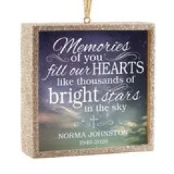 TwinkleBright® LED Memories of You Ornament