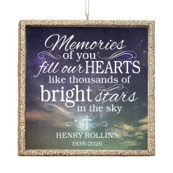 TwinkleBright® LED Memories of You Ornament